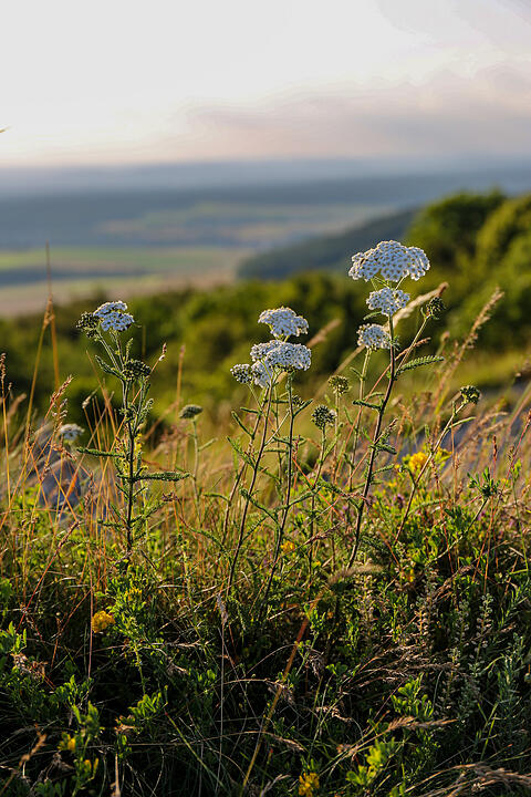 Herrliches Wandergebiet im Bamberger Umland