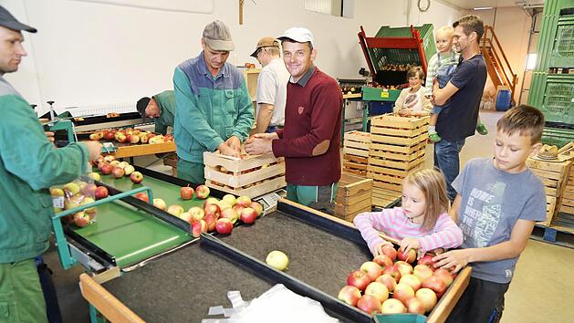 Reiche Apfelernte 2018 (hier auf dem Feesenhof in Weingarts bei der Verarbeitung) sorgt f&uuml;r den Grundstoff der Schnapsbrenner. Foto: Franz Galster