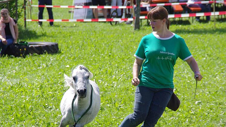 Tierheimfest in Kronach. Foto: Marco Meißner
