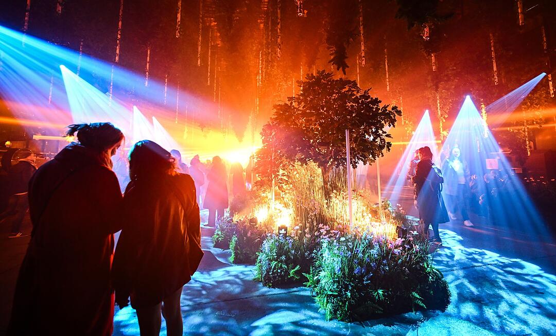 Lichtinstallation "Forest Seasons" er&ouml;ffnet