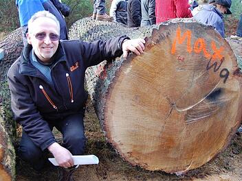 Helmut Marx präsentierte seine mächtige Eiche mit einem Stammdurchmesser von über einem Meter.