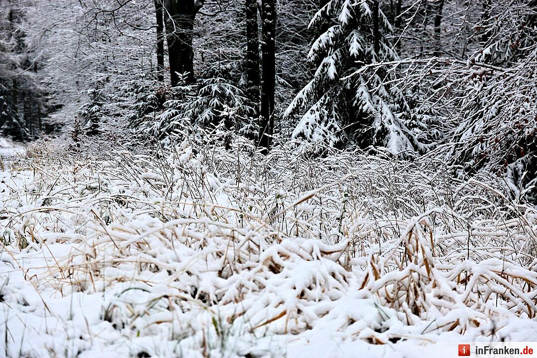 Schnee im Fichtelgebirge