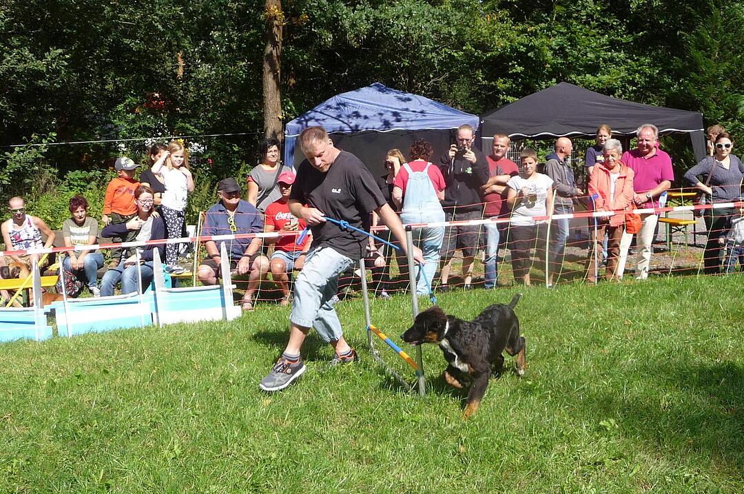 19.8.2017 Tierheimfest Kulmbach