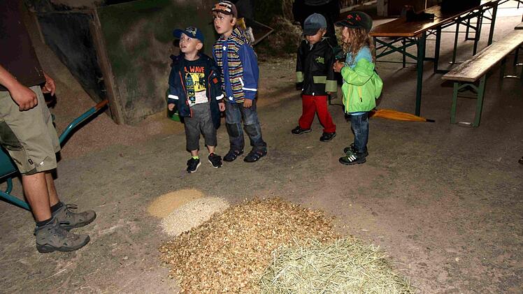 Foto: Richard Sänger