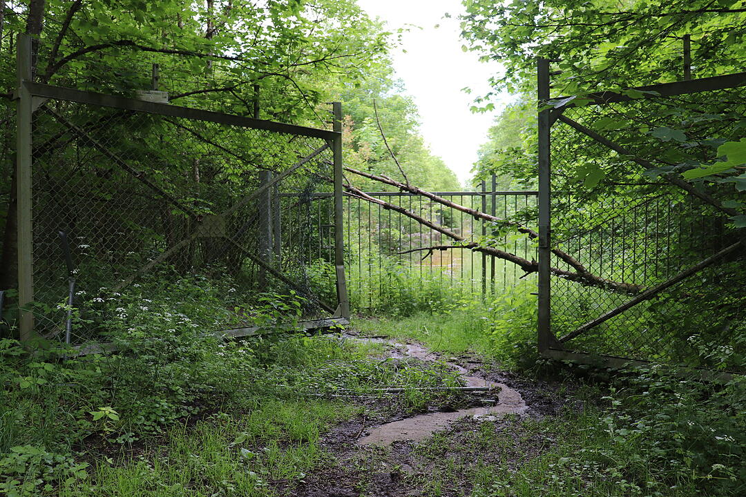Lost Place US-Waffenbunker im Wald