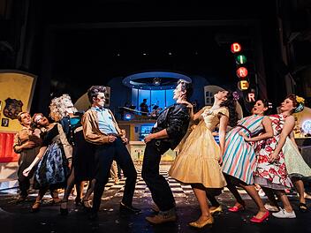 Mit der Erfolgsproduktion "A Spider Murphy Story" gastiert das Landestheater Coburg in Regensburg und München.Foto: Archiv/Sebastian Buff