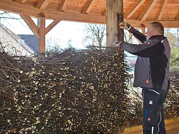 1200 Schwarzdorn-Bündel werden zur Zeit am Gradierpavillon im Kurpark von Bad Königshofen eingesetzt. Foto: Hanns Friedrich