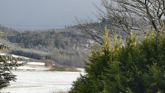 Marktrodach. Foto: Kathi De