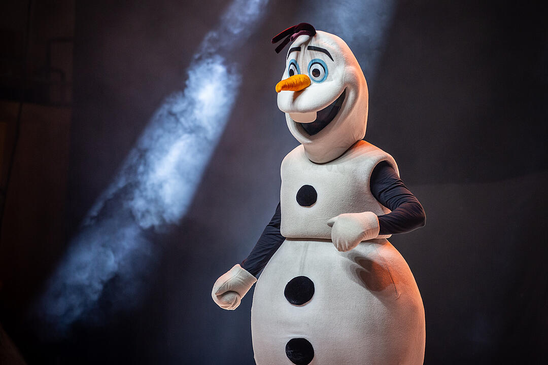 Märchenhafte Magie für alle Elsa, Anna und Olaf Fans!