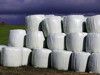 Zwischen mächtigen aufgetürmten Heuballen hat ein Landwirt die Leiche eines 15-Jährigen entdeckt. Symbolfoto: Fachdozent/Pixabay