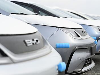 BYD in Deutschland beliebter