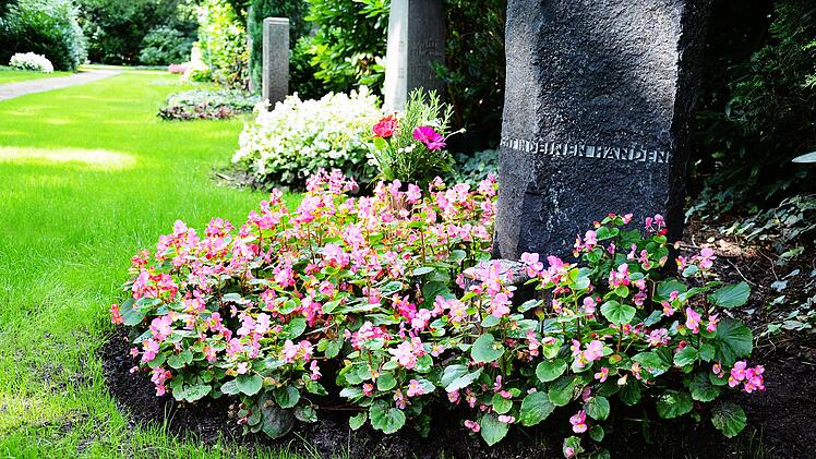 Grabstein und Grabbepflanzung (Begonien) im Sommer