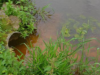Die Rohre des von Hausen kommenden Luitpoldsprudels werden wöchentlich gespült. Auf Grund der Farbe des eingeleiteten Wassers vermuteten Besucher Schlimmeres und informierten die Polizei. Foto: Peter Rauch