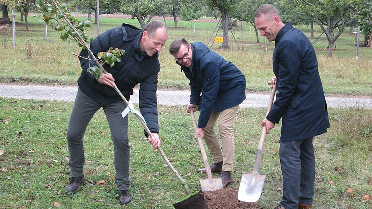 Den ersten von 100 Bäumen, die die Allianz "Fränkisches Saaletal" pflanzen will gruben (von links) die Bürgermeister Johannes Krumm, Armin Warmuth und Mario Götz an der Schwedenschanze ein.