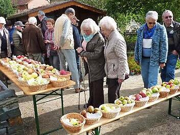 Eine geradezu paradiesische Vielfalt an heimischen Äpfeln konnte in Kronach bewundert werden. Foto: Gerd Fleischmann