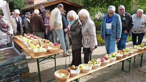Eine geradezu paradiesische Vielfalt an heimischen Äpfeln konnte in Kronach bewundert werden. Foto: Gerd Fleischmann