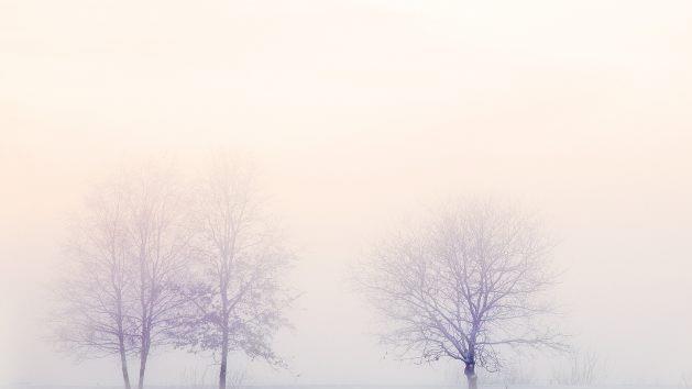 Deutschlandweit erreichten die Temperaturen vergangene Nacht einen K&auml;lterekord. Tiefsttemperatur: -27 Grad! Und es bleibt auch die n&auml;chsten Tage arktisch kalt. Erst zum Wochenende werden mildere Temperaturen erwartet. Foto: pixabay.com/Printeboek