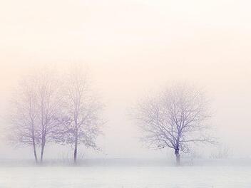 Deutschlandweit erreichten die Temperaturen vergangene Nacht einen K&auml;lterekord. Tiefsttemperatur: -27 Grad! Und es bleibt auch die n&auml;chsten Tage arktisch kalt. Erst zum Wochenende werden mildere Temperaturen erwartet. Foto: pixabay.com/Printeboek