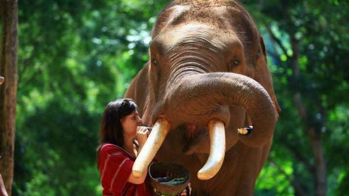 Während eines Ausflugs nach Thailand kam Theresa Schuhmann befreiten Elefanten auf einer Farm ganz nahe. Foto: Mona Lisa Eigenfeld