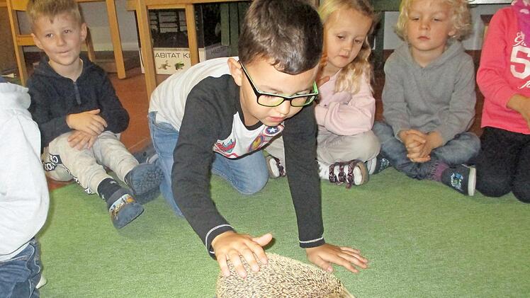 Einen präparierten Igel erhielten die Kinder zum Anschauen vom Bund Naturschutz. Foto: K. Maschmeyer