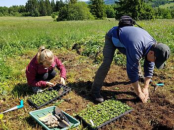 Im Rahmen des Commerzbank-Praktikums engagieren sich die Teilnehmer beim Verein Natur- und Lebensraum Rh&ouml;n auf vielf&auml;ltige Weise, zum Beispiel aktiv in Naturschutzprojekten wie hier im Roten Moor (Sommer 2019).  Foto: Anna-Lena Bieneck