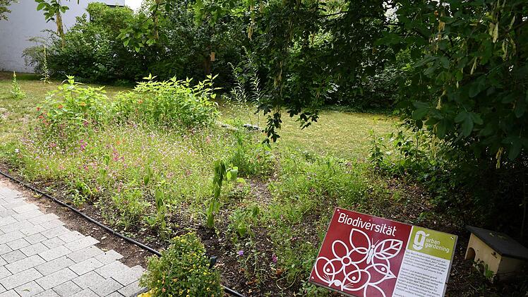 Einweihung Demonstrationsgarten der LWG am Schillerplatz 15. Foto: Ronald Rinklef