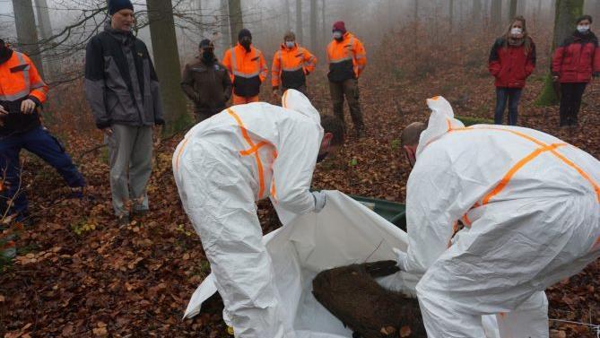Übung, um für Fälle von Afrikanischer Schweinepest (ASP) gerüstet zu  sein. Foto: Marion Eckert