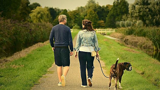 Für Hundehalter*innen gibt es 2023 einige Änderungen zu beachten.