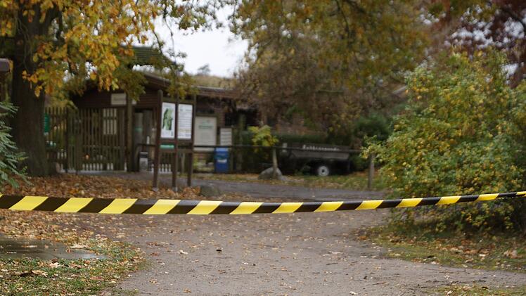 Wolf greift Kind in Wildpark an