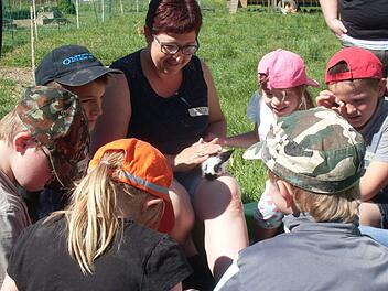 Streicheleinheiten f&uuml;r die Kaninchen und Stallhasen gab es reichlich und unter professioneller Anleitung von Erlebnisb&auml;uerin Anja Wagenbrenner. Foto: Klaus Scheuring