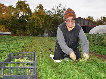 Auf dem Naturlandhof der Familie Pfülb in Fuchsstadt: Eileen Pfülb erntet hier den Feldsalat per Hand.  Fotos: Kathrin Kupka-Hahn