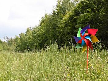 Stehen in diesem Wald bald Windräder, die 200 Meter in die Höhe ragen? Das Unternehmen "Windkraft Bayern" plant ein großes Pilotprojekt in der Region. Fotos: Ulrike Müller