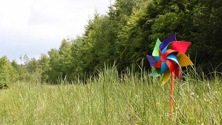 Stehen in diesem Wald bald Windräder, die 200 Meter in die Höhe ragen? Das Unternehmen "Windkraft Bayern" plant ein großes Pilotprojekt in der Region. Fotos: Ulrike Müller