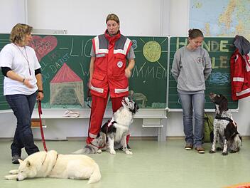 Ob Ponyhof, Feuerwehr oder Rettungshundestaffel - die Grundschüler der Emil-Fischer-Grundschule gewannen Einblicke in die Arbeit der Coburger Institutionen und Betriebe. Tierthemen standen hoch im Kurs. Fotos: Christiane Lehmann