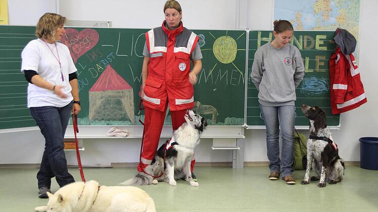 Ob Ponyhof, Feuerwehr oder Rettungshundestaffel - die Grundschüler der Emil-Fischer-Grundschule gewannen Einblicke in die Arbeit der Coburger Institutionen und Betriebe. Tierthemen standen hoch im Kurs. Fotos: Christiane Lehmann