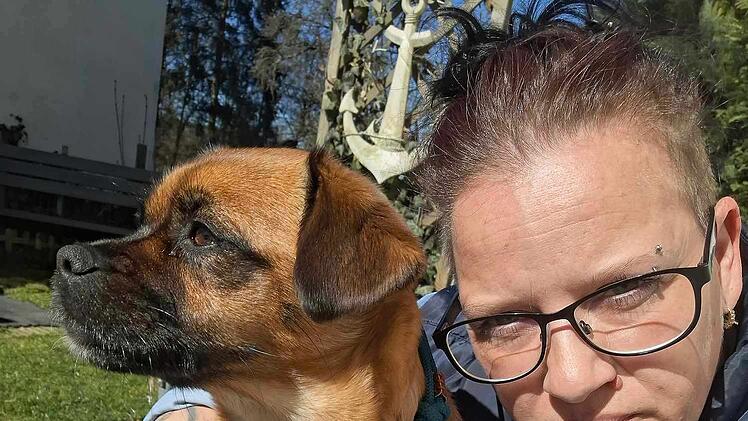 Kronach: Hündin Bella hat starke Schmerzen - "verzweifeltes Frauchen" mit Hilferuf