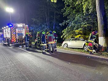 Auto prallt bei Tauperlitz frontal gegen Baum: Fahrerin schwer verletzt, Hund stirbt