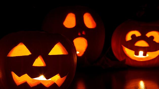 Halloween-Partys und Co. - was die Kinder, Jugendlichen und Erwachsene 2024 in Franken erwartet
