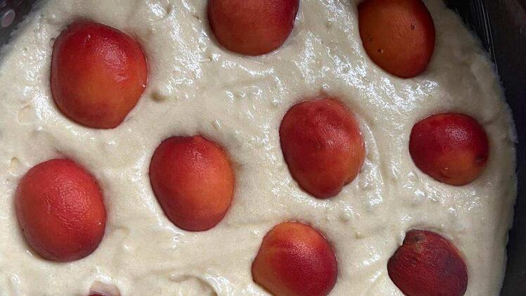 aprikosenkuchen-roh