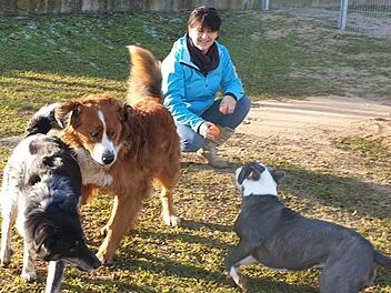 Jede Menge Platz zum Toben, aber auch eigene Boxen haben die vierbeinigen Gäste der neuen Hundepension BelLissiMo, die am 21. Februar in Nüdlingen eröffnet. Offizielle Eröffnungsfeier, bei der jeder einen Blick hinter die Kulissen werfen kann, ist am 1. März. Foto: Alfred Schäfer