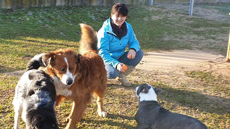 Jede Menge Platz zum Toben, aber auch eigene Boxen haben die vierbeinigen Gäste der neuen Hundepension BelLissiMo, die am 21. Februar in Nüdlingen eröffnet. Offizielle Eröffnungsfeier, bei der jeder einen Blick hinter die Kulissen werfen kann, ist am 1. März. Foto: Alfred Schäfer