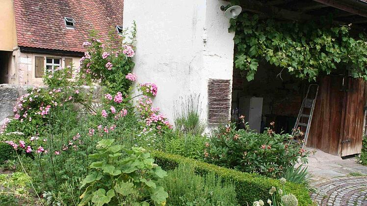 Stauden im Garten von Heidi Rippel