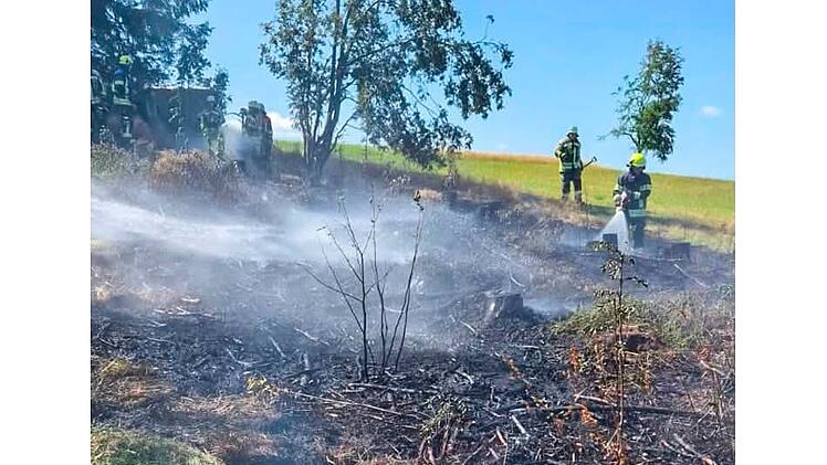 Fl&auml;chenbrand in Ha&szlig;lach bei Teuschnitz