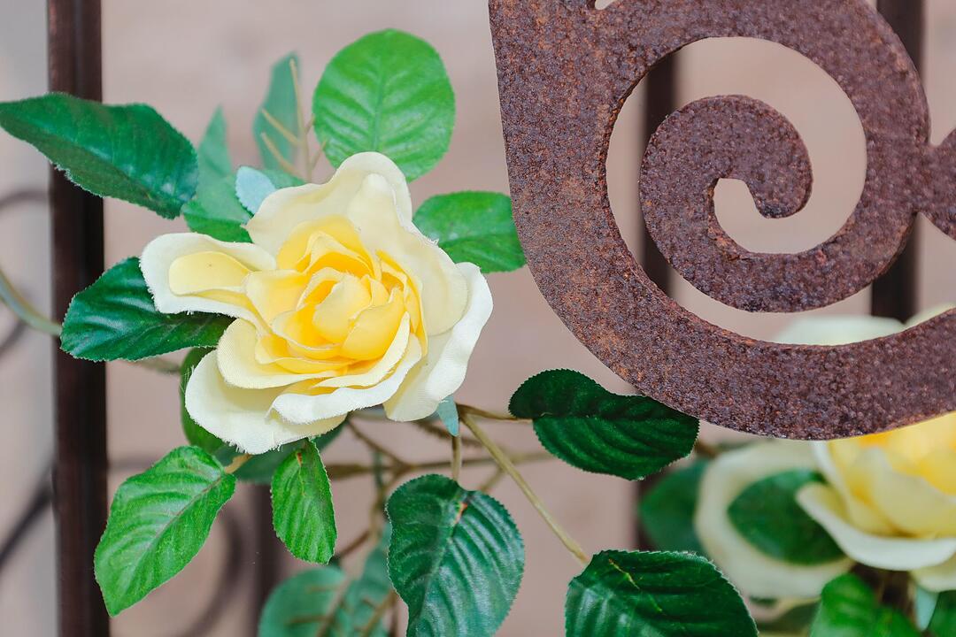 Rosen & Garten Messe Kronach im September
