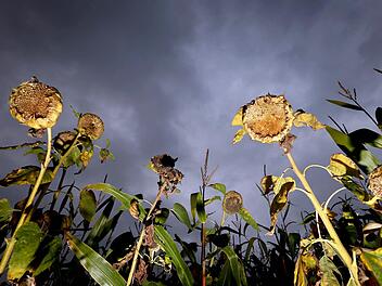 Wetter in Franken
