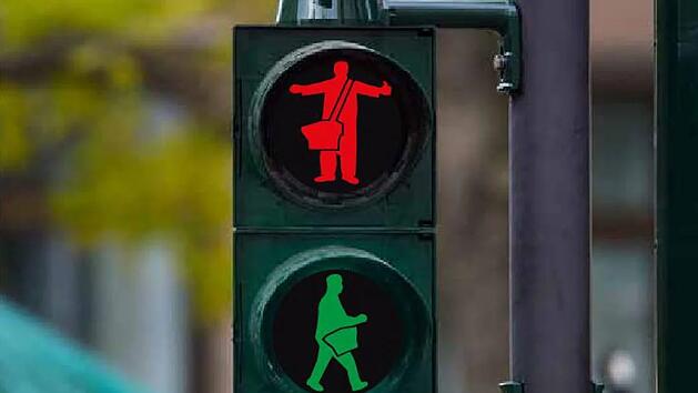 Konzept der Hofer W&auml;rschtlamo-Ampel