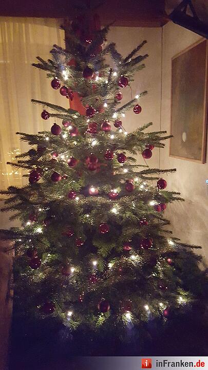 Weihnachten in Franken: Die Christbäume unserer Leser