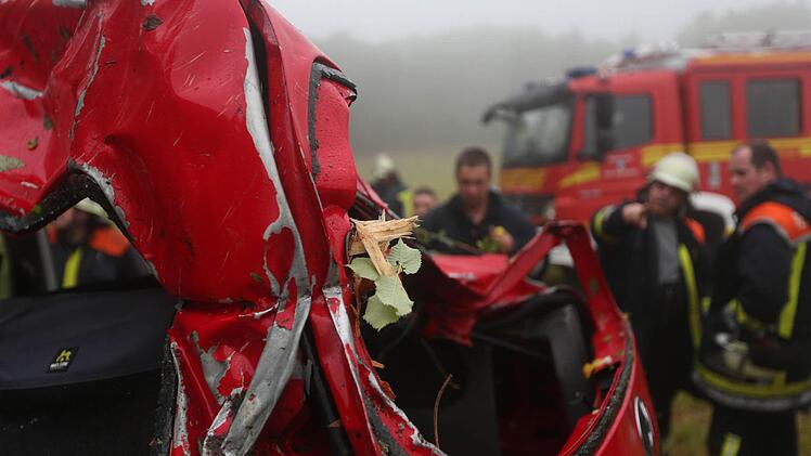 Foto: News5 / Herse