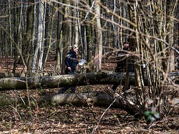 Baum umgest&uuml;rzt &ndash; Drei Tote bei Flensburg