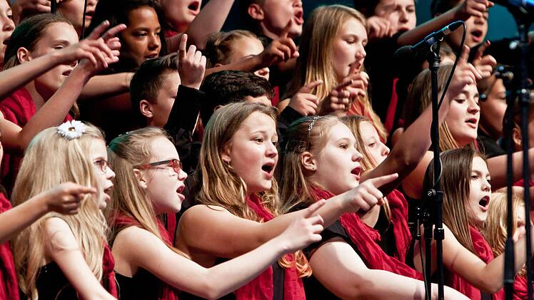 "Die Nacht der 100 Stimmen": Der Schulchor der CO I beeindruckte bei seinem Open-Air-Kozert im Coburger Rosengarten. Fotos: Jochen Berger
